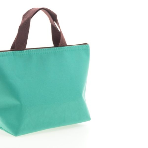 Woman bag isolated on white background